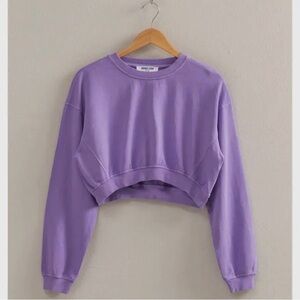 Crew Neck Long Sleeve Crop Sweatshirt - Wisteria